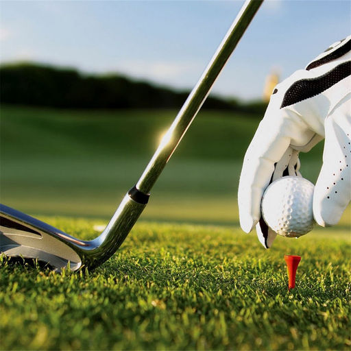 高尔夫知识百科:自学指南、视频教程和技巧下